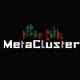 MetaCluster