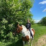Horses and Dasha🌷💌