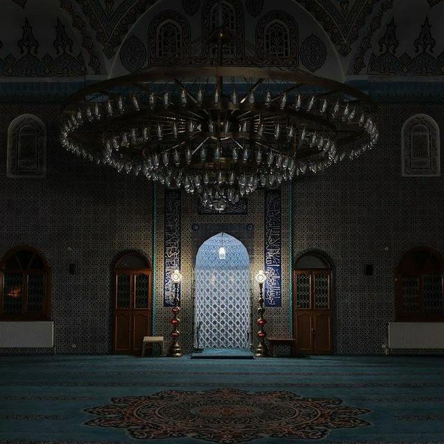 همسات قرآنية | 🤍