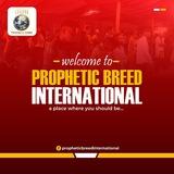 Prophetic Breed International