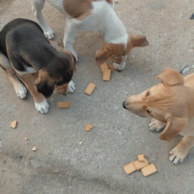 FAMP DONATION