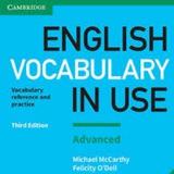 English vocabulary in use Advanced
