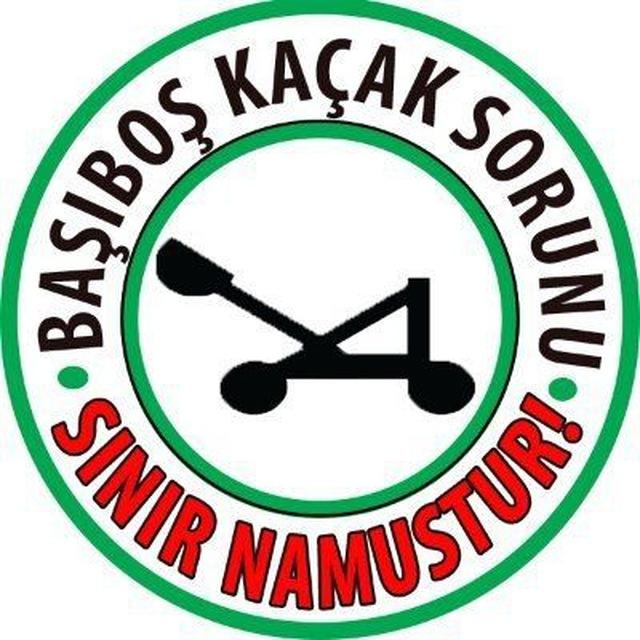 Başıboş Kaçak Sorunu