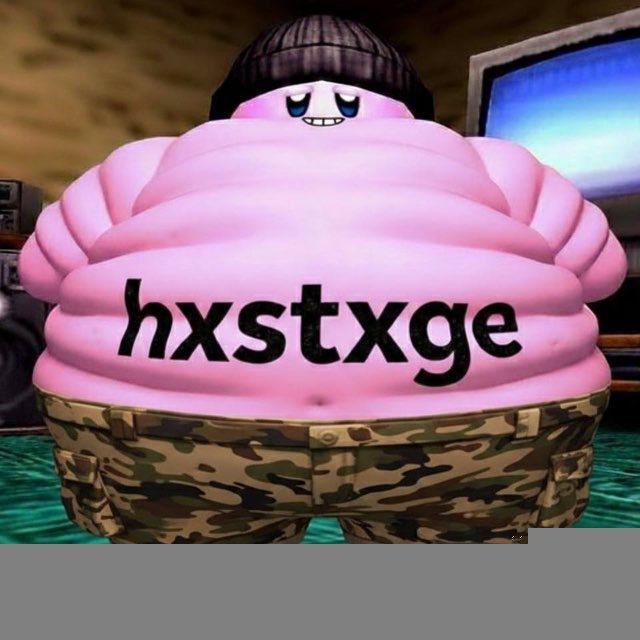 hxstxgeеHub