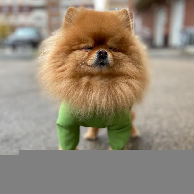 Sofa_pom