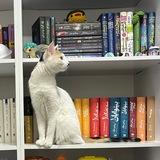 The island of books