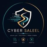 Cyber Saleel
