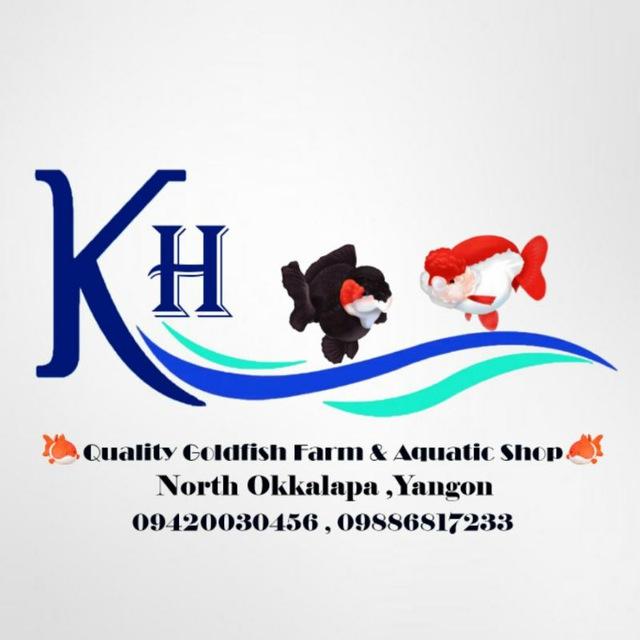 KoHtin(Quality Goldfish Farm) & (Aquatic Shop) (Yangon)