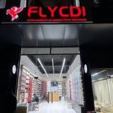 LION-FLYCDI