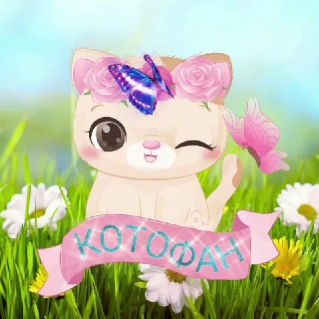 КотоФан