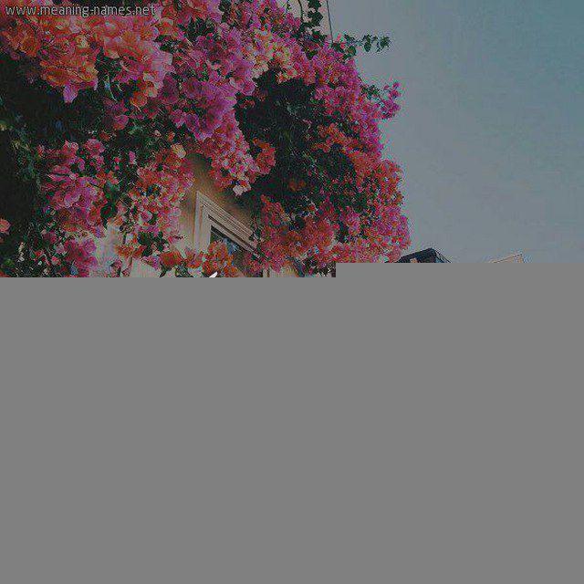 مـجـــــــابر هـــادفـــــه🥀