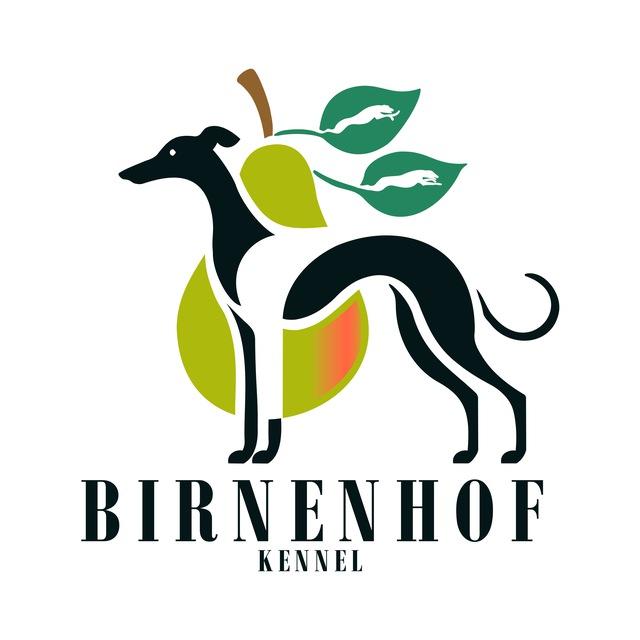 Питомник уиппетов Birnenhof