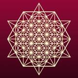 The Soul Matrix - Steve Nobel *Beware of Fakes*
