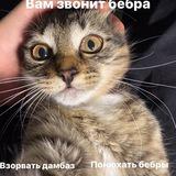 MIRACLE