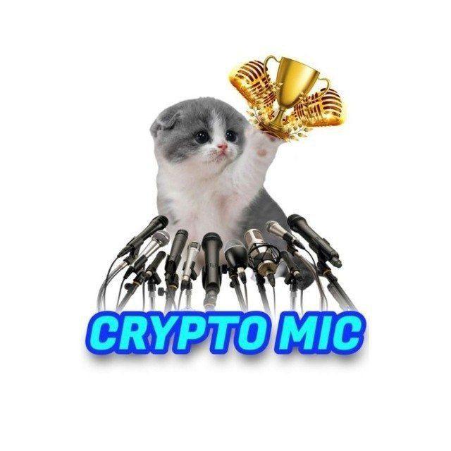 Crypto Mic