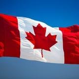 Haryana To Canada🇨🇦