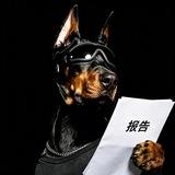 爆破严选报告频道