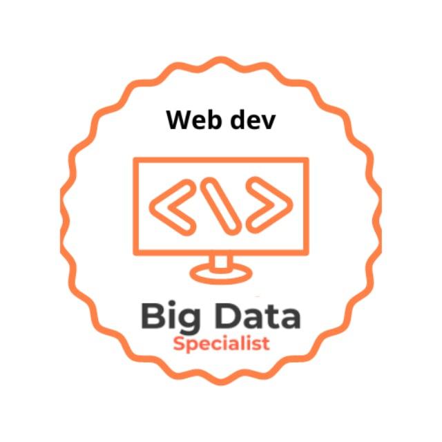 Web development