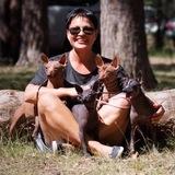 Ксоло и точка! Щенки Ксолоитцкуинтли питомник Кинич Ахау