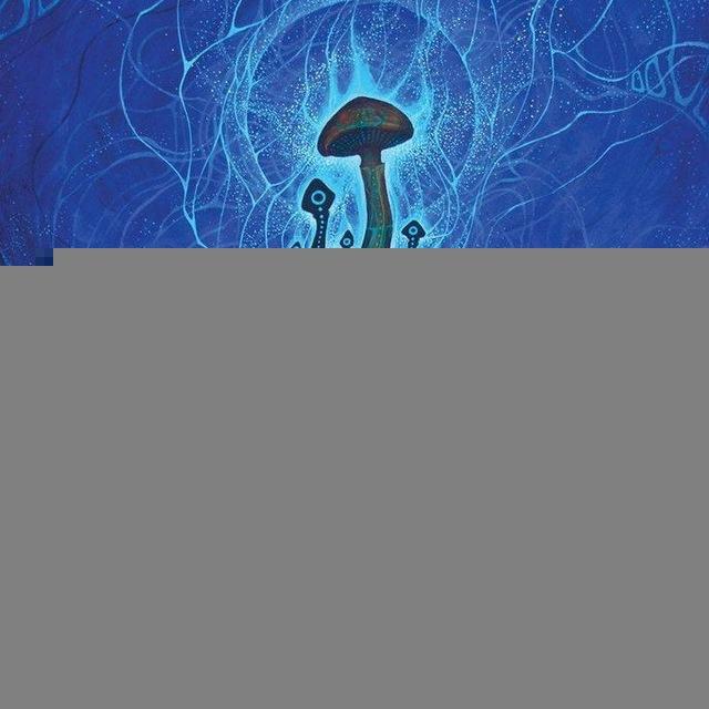 Mushroom music