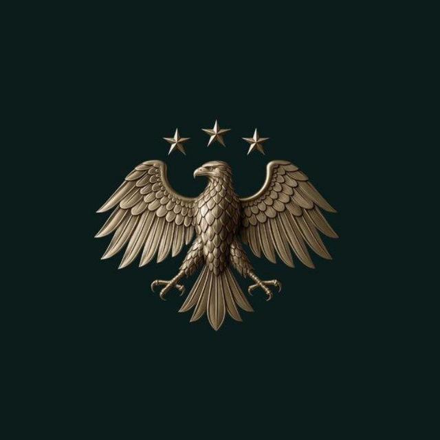 النشرة الخفيفة 🇸🇾