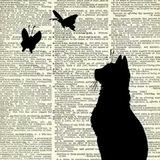 BlackCat