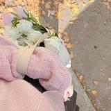 فَراشَة دِيسمْبر 🦋
