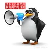 海外远程 -到岗技术招聘