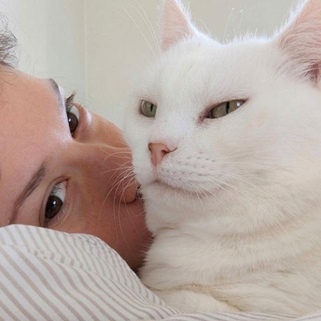 Нервная клетка