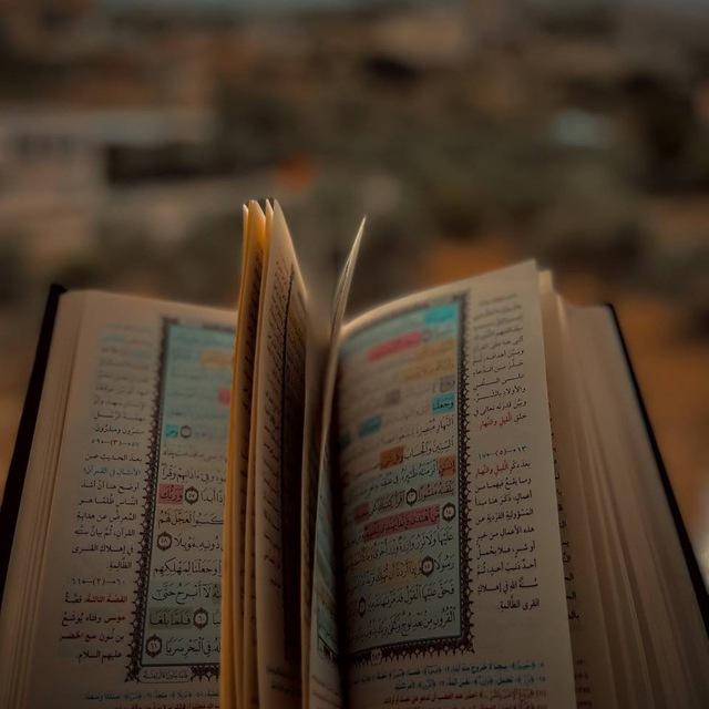 بَـــراءةᥫ᭡.
