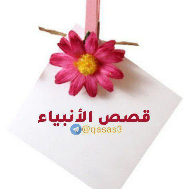 قصص الانبياء بالعامية منذ خلق آدم الى بداية عهد مولد النبى عليه افضل الصلاه والسلام ❤️‍🔥