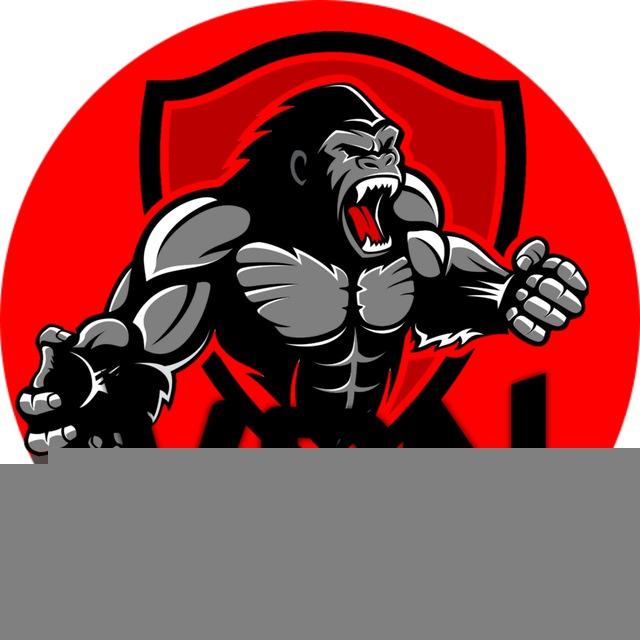 KINGKONGVPN