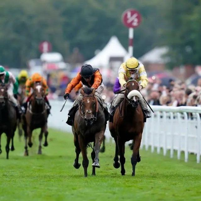 HORSE RACE PREDICTIONS