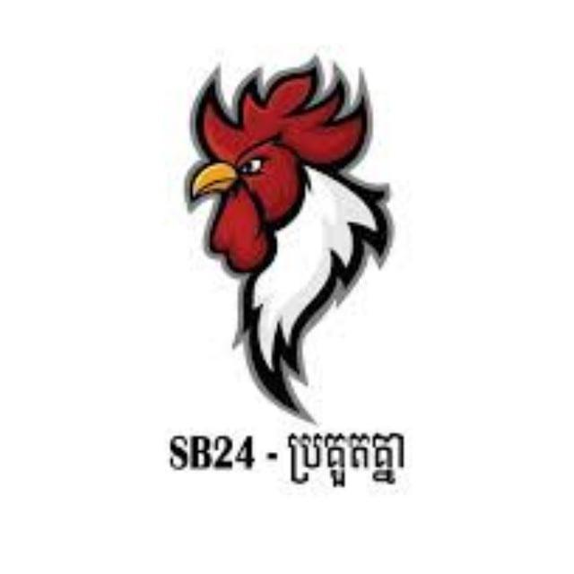 បក្សី កីឡា SB24