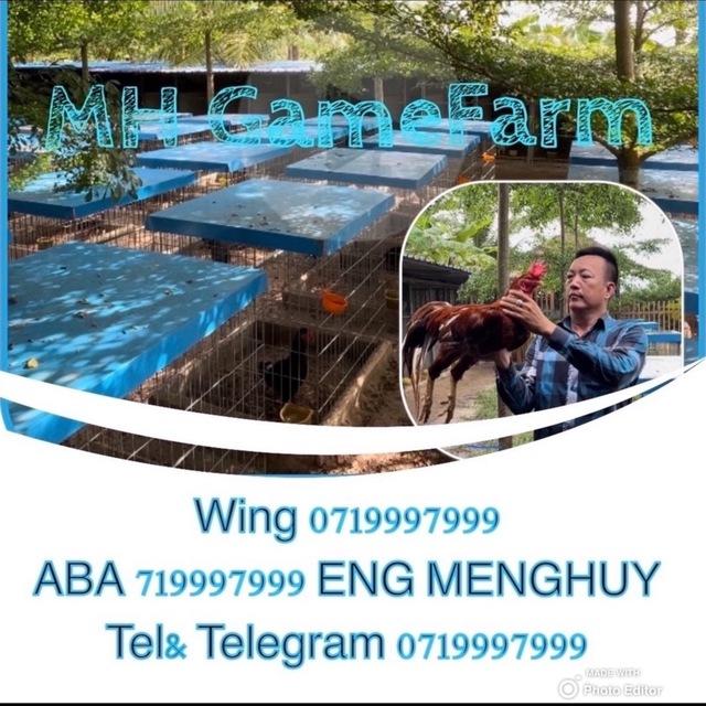កសិដ្ឋានបក្សីកីឡាអិមអេច