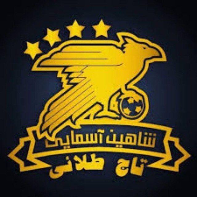 💲شاهین آسمایی💲