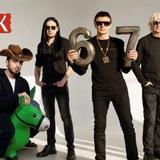 шклярский и котята