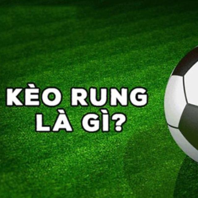 ⚽️ Bóng Lọc Rung HT - Tài 2 FT⚽️