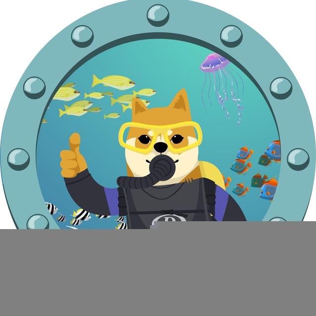 Aquadoge Portal