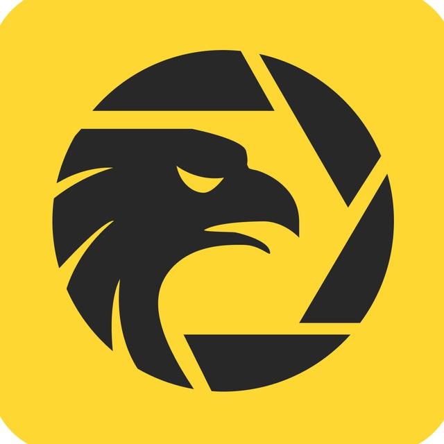WikiFX 外汇天眼官方频道 (中文)