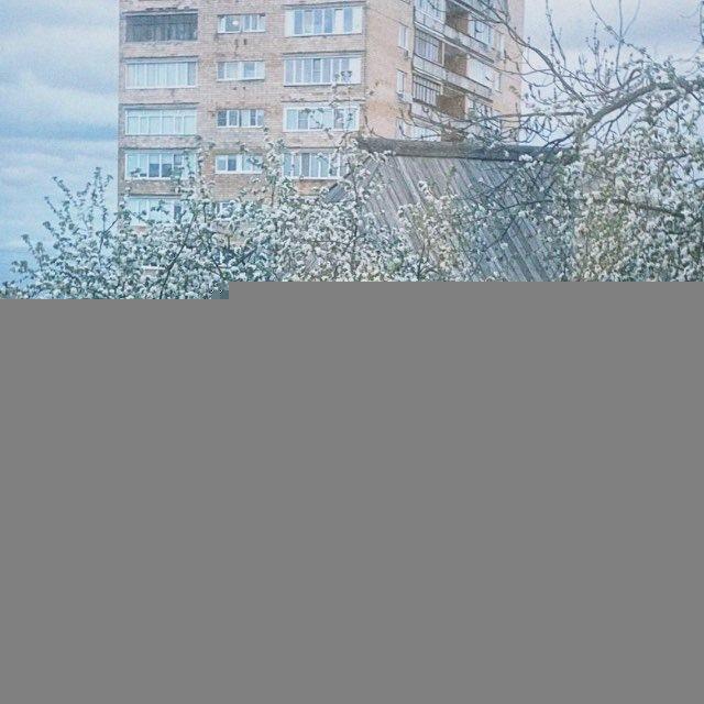 Волшебная Гора