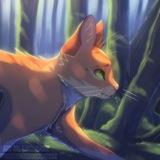 Wᴀrriᴏrs Cᴀᴛs | Коты-Воители | @TIWC