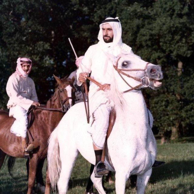 𝒖 𝒂 𝒆 🇦🇪