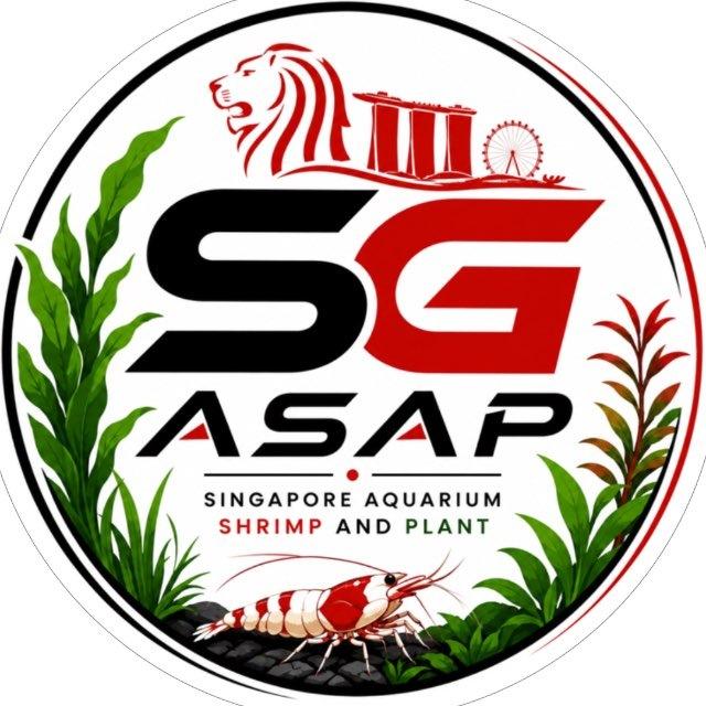 SG ASAP Aquarium Shrimps And Plants