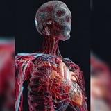Dr. Âhmäd Slêmān - Physiology
