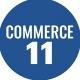 Commerce Class 11 Notes