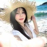 舞妹妹的后宫。