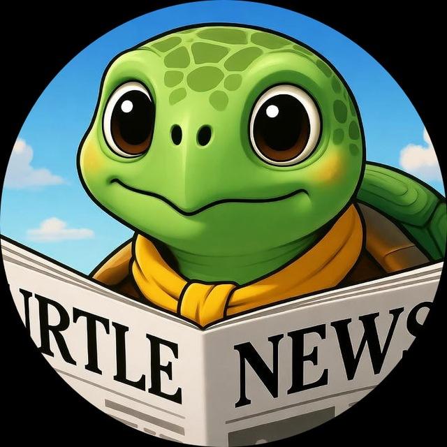 Turtle Rumors