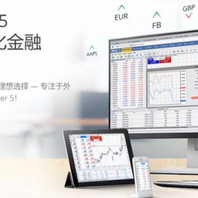 外汇平台 MT4搭建 MT5搭建 ST5搭建 ST7搭建 数字货币交易所搭建 外汇搭建 股票搭建 海外支付