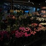 ورَدتيش ؟
